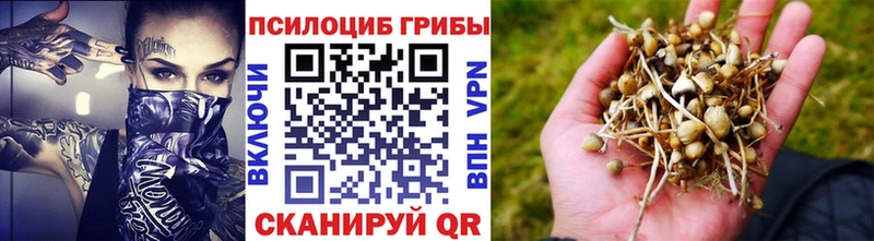 Галлюциногенные грибы Psilocybine cubensis Купить закладки Верхотурье